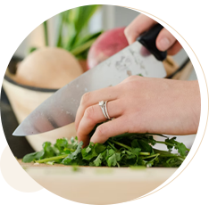 The Wellness Coach Hub Membership Natural Therapies